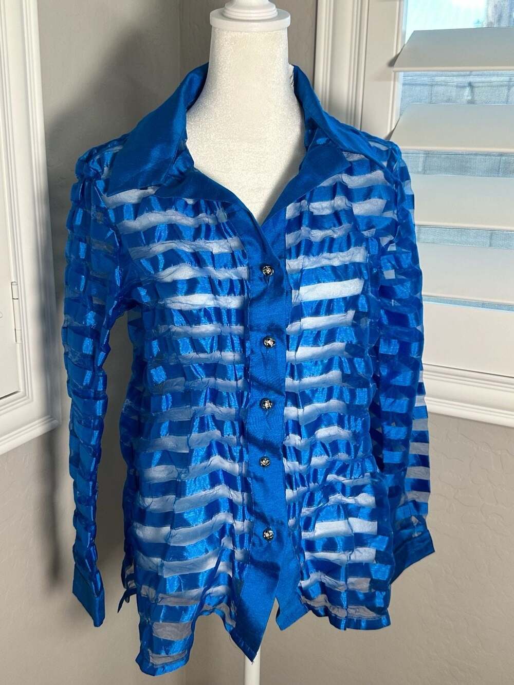 Sag Harbor Dress Blue Striped Sheer Button-Up Shirt